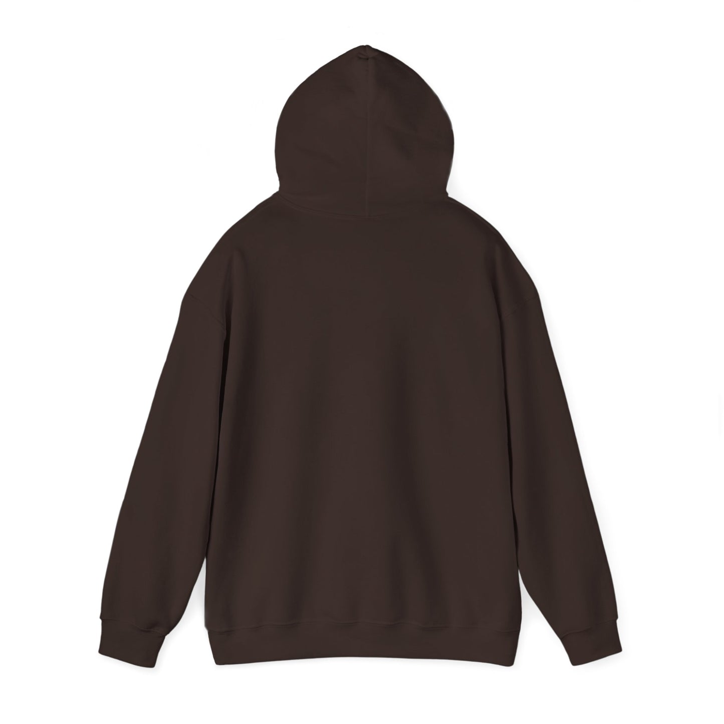 Cozy Compass Hoodie, Unisex Hooded Sweatshirt, Outdoor Adventure Sweatshirt, Cozy Gift for Explorers, Winter Apparel