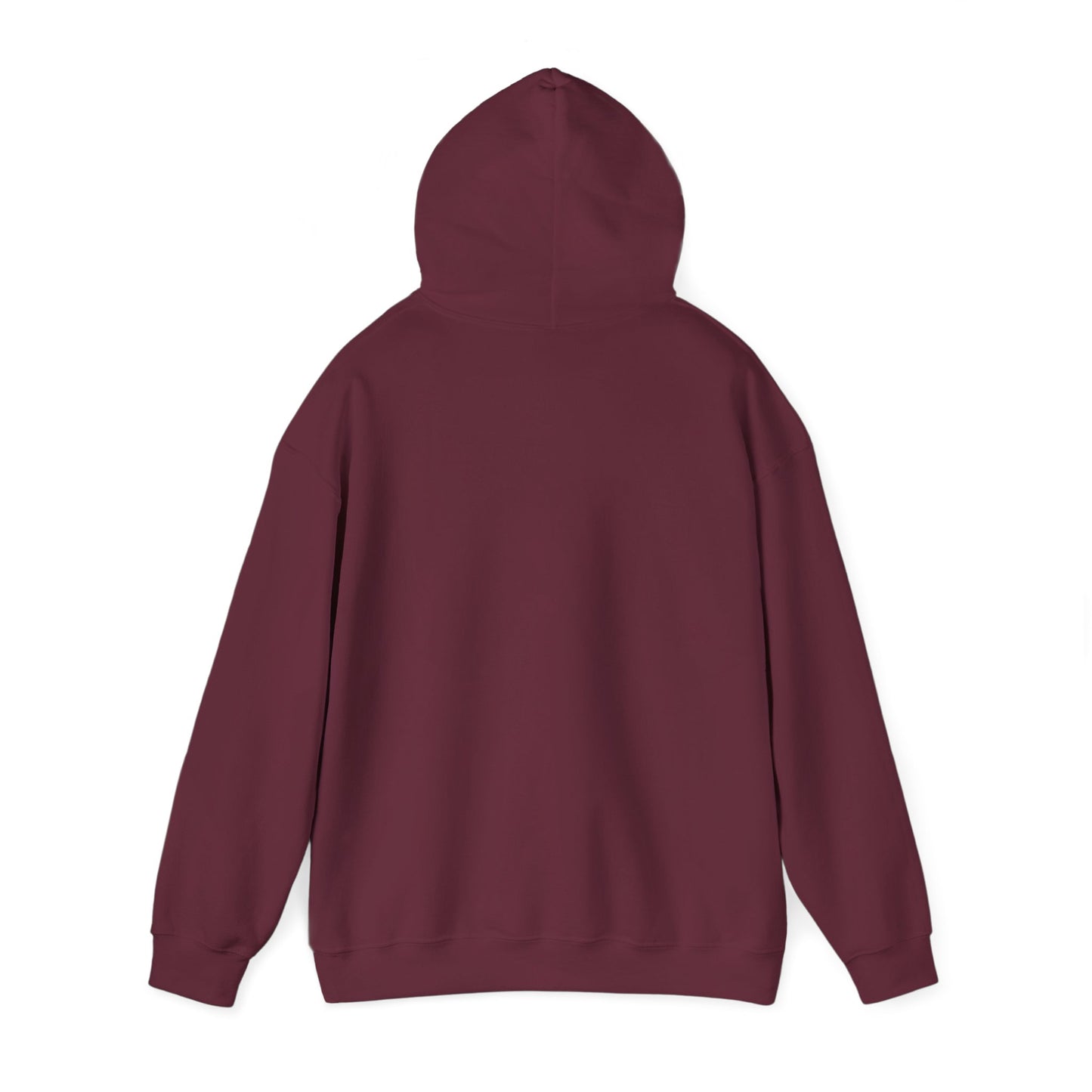 Cozy Compass Hoodie, Unisex Hooded Sweatshirt, Outdoor Adventure Sweatshirt, Cozy Gift for Explorers, Winter Apparel