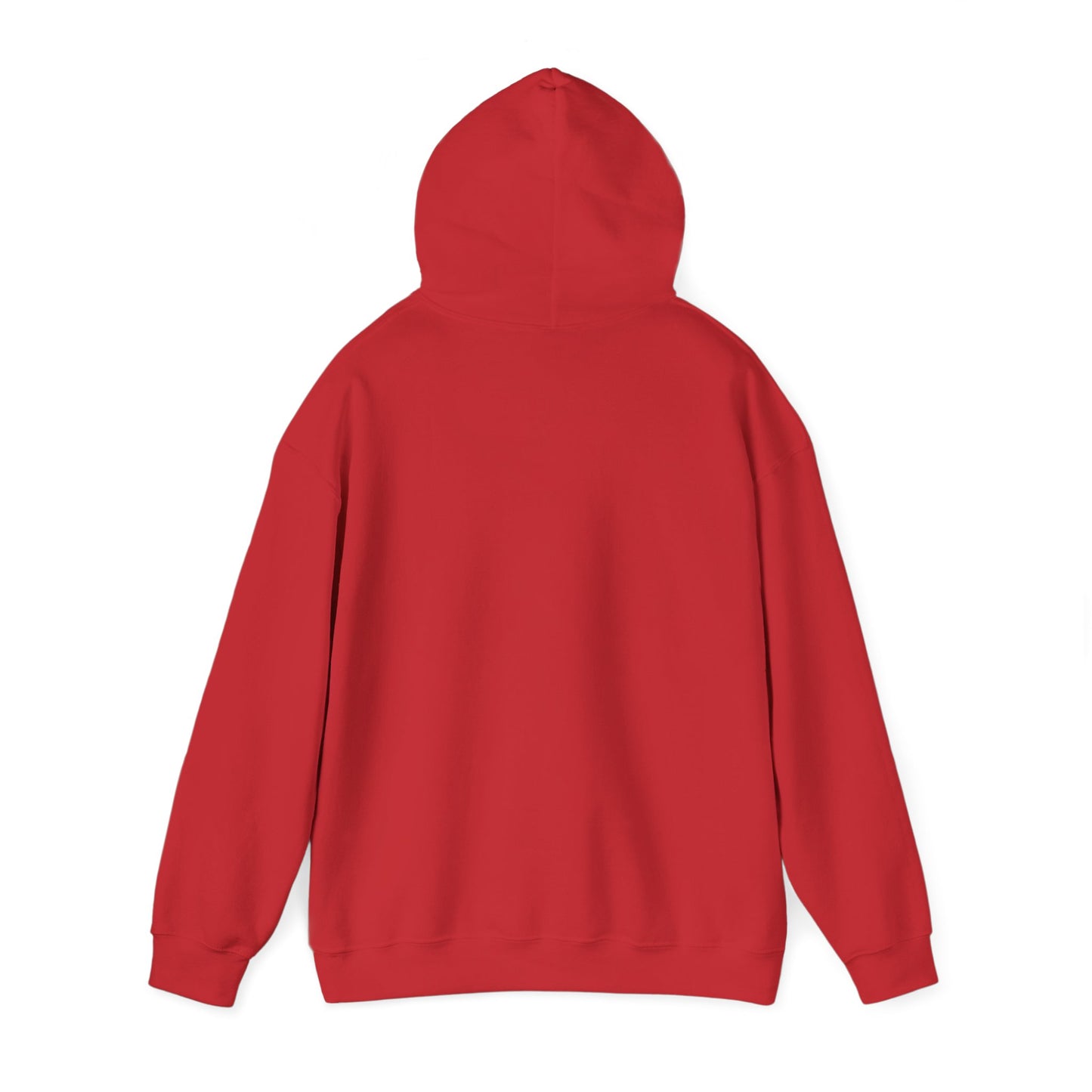 Cozy Compass Hoodie, Unisex Hooded Sweatshirt, Outdoor Adventure Sweatshirt, Cozy Gift for Explorers, Winter Apparel