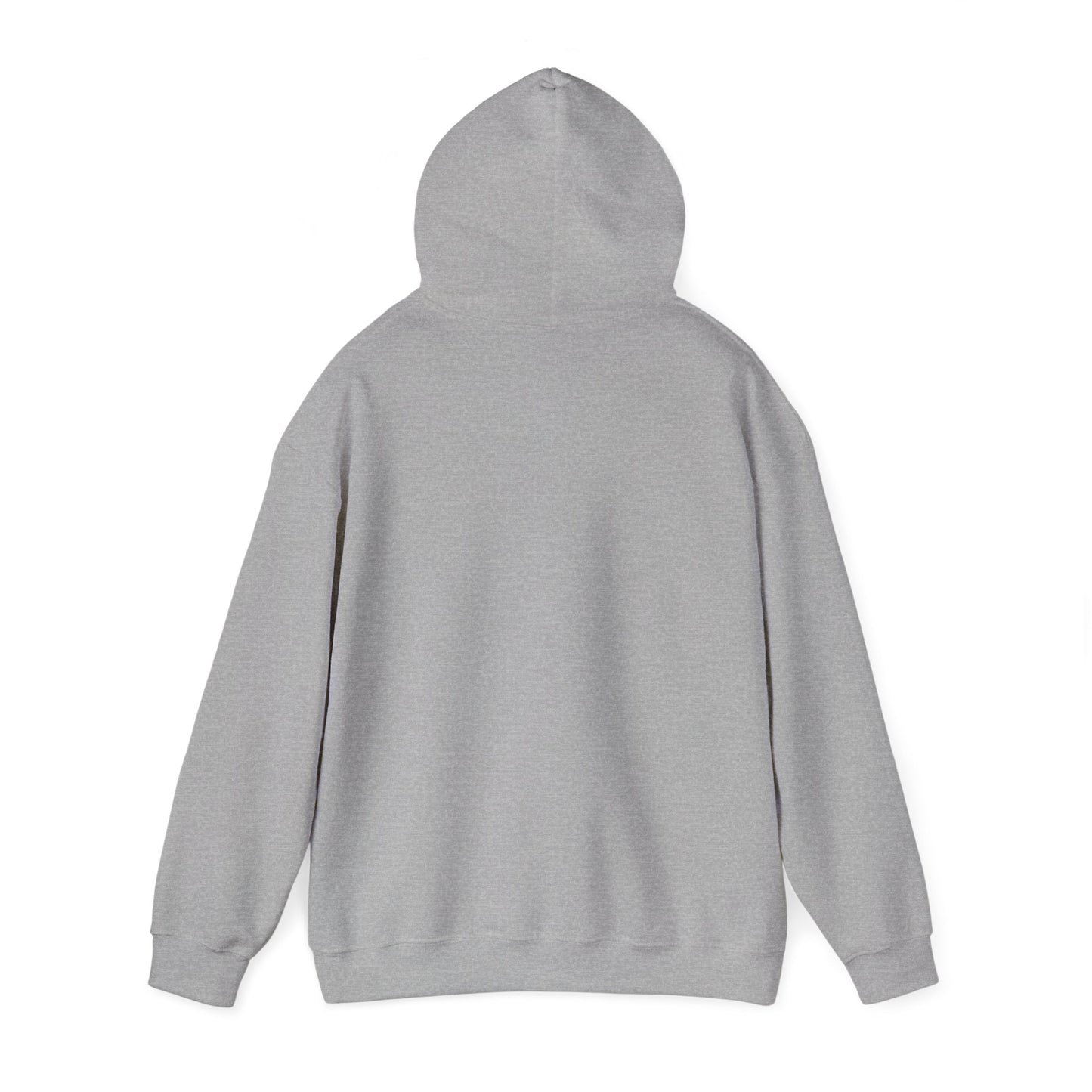 Cozy Compass Hoodie, Unisex Hooded Sweatshirt, Outdoor Adventure Sweatshirt, Cozy Gift for Explorers, Winter Apparel