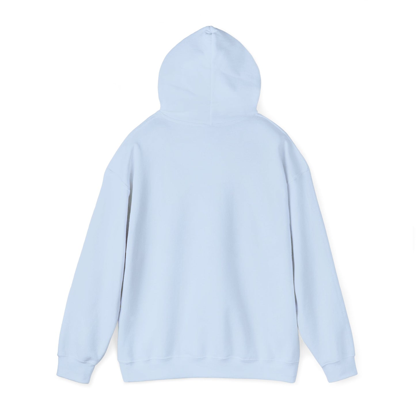 Cozy Compass Hoodie, Unisex Hooded Sweatshirt, Outdoor Adventure Sweatshirt, Cozy Gift for Explorers, Winter Apparel