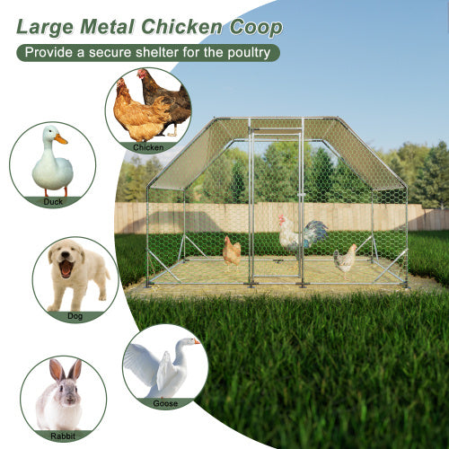 Large Metal Walk-In Chicken Coop