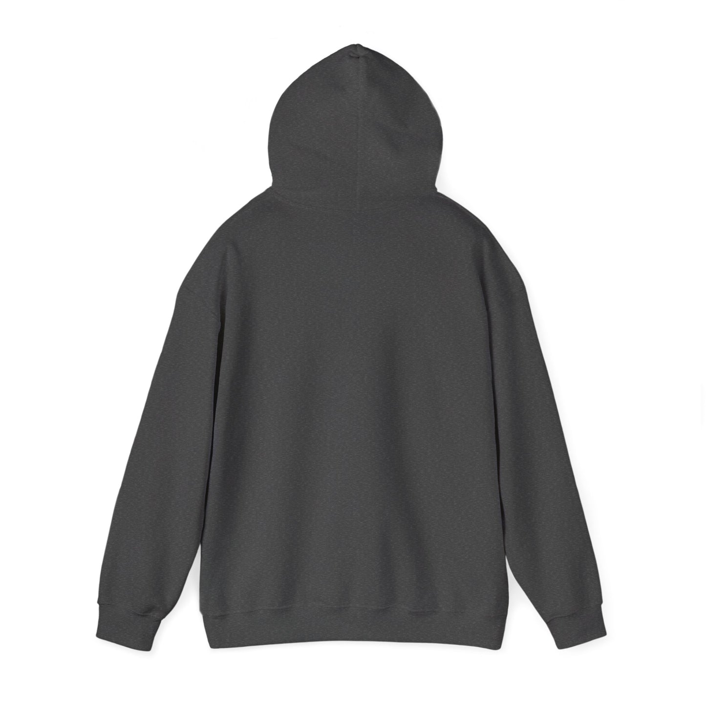 Cozy Compass Hoodie, Unisex Hooded Sweatshirt, Outdoor Adventure Sweatshirt, Cozy Gift for Explorers, Winter Apparel