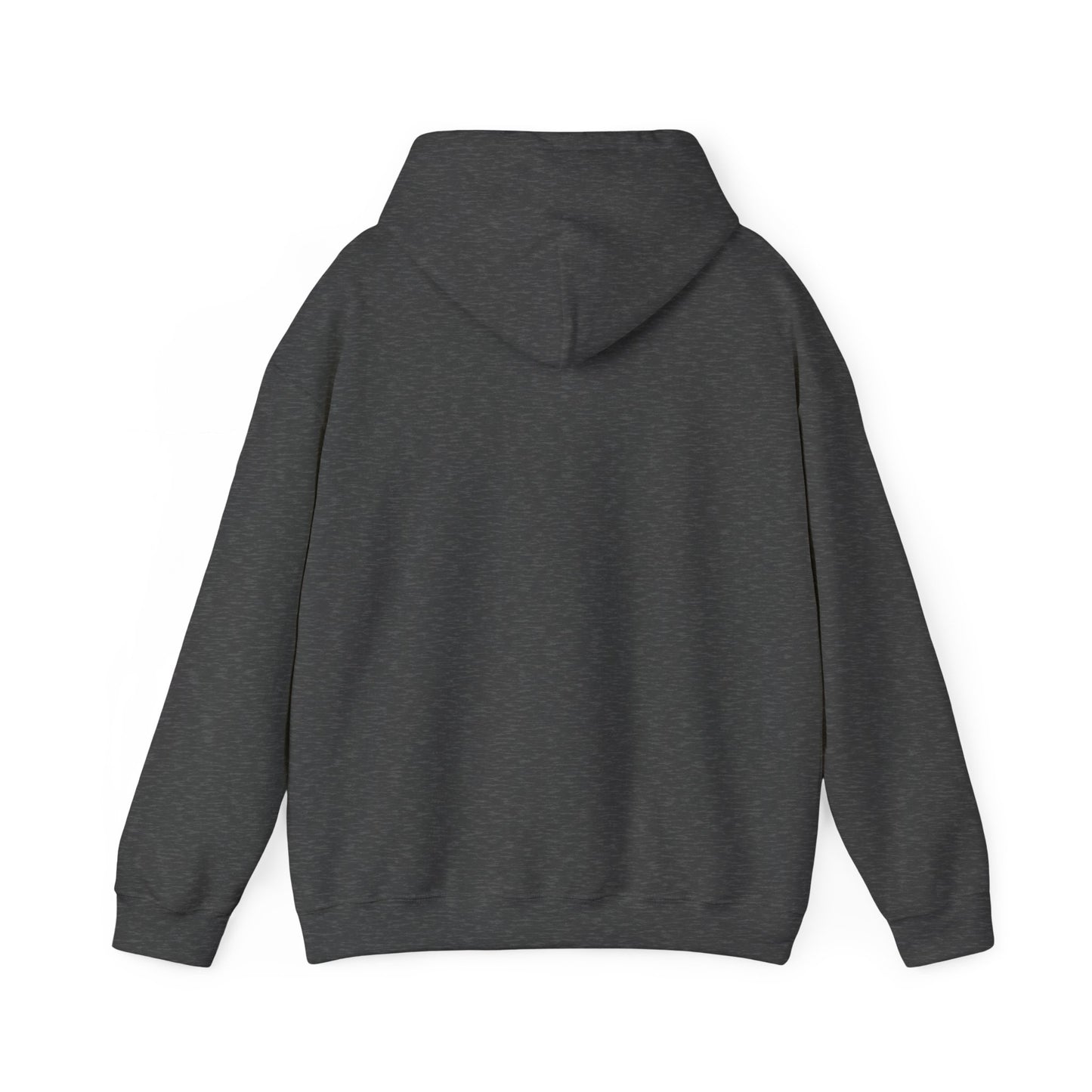 Cozy Compass Hoodie, Unisex Hooded Sweatshirt, Outdoor Adventure Sweatshirt, Cozy Gift for Explorers, Winter Apparel