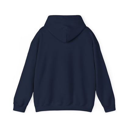 Cozy Compass Hoodie, Unisex Hooded Sweatshirt, Outdoor Adventure Sweatshirt, Cozy Gift for Explorers, Winter Apparel