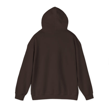Cozy Compass Hoodie, Unisex Hooded Sweatshirt, Outdoor Adventure Sweatshirt, Cozy Gift for Explorers, Winter Apparel