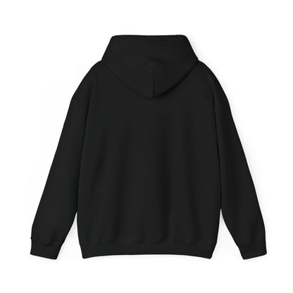 Cozy Compass Hoodie, Unisex Hooded Sweatshirt, Outdoor Adventure Sweatshirt, Cozy Gift for Explorers, Winter Apparel