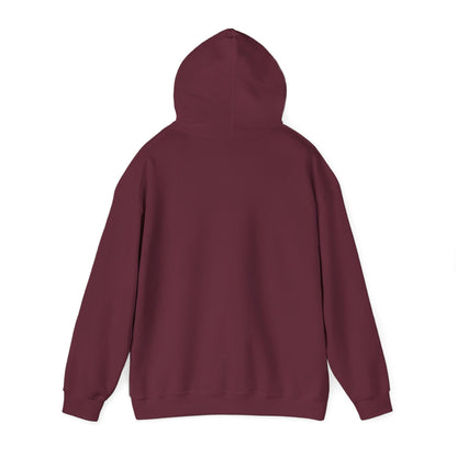 Cozy Compass Hoodie, Unisex Hooded Sweatshirt, Outdoor Adventure Sweatshirt, Cozy Gift for Explorers, Winter Apparel