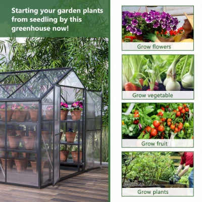 8' x 12' Heavy Duty Outdoor Greenhouse