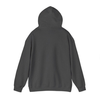 Cozy Compass Hoodie, Unisex Hooded Sweatshirt, Outdoor Adventure Sweatshirt, Cozy Gift for Explorers, Winter Apparel