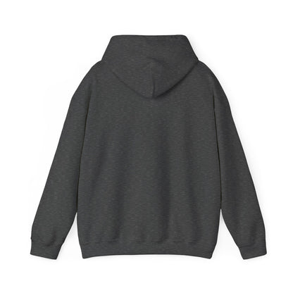 Cozy Compass Hoodie, Unisex Hooded Sweatshirt, Outdoor Adventure Sweatshirt, Cozy Gift for Explorers, Winter Apparel